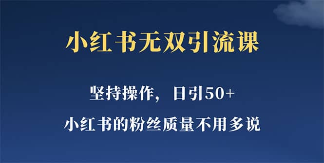 小红书无双课一天引50+女粉，不用做视频发视频，小白也很容易上手拿到结果-天天有课网