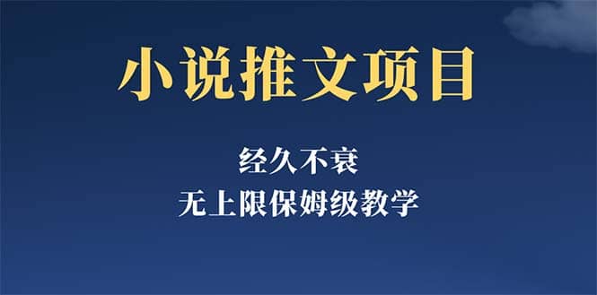 经久不衰的小说推文项目，单号月5-8k，保姆级教程，纯小白都能操作-天天有课网