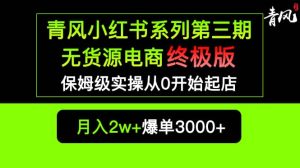 小红书无货源电商爆单终极版【视频教程+实战手册】保姆级实操从0起店爆单-天天有课网