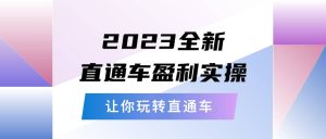 2023全新直通车·盈利实操:从底层,策略到搭建,让你玩转直通车-天天有课网