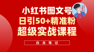 小红书图文号日引50+精准流量，超级实战的小红书引流课，非常适合新手-天天有课网
