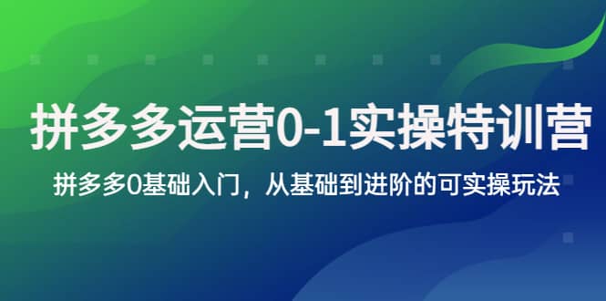 拼多多-运营0-1实操训练营，拼多多0基础入门，从基础到进阶的可实操玩法-天天有课网
