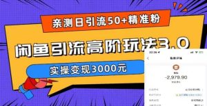 实测日引50+精准粉，闲鱼引流高阶玩法3.0，实操变现3000元-天天有课网