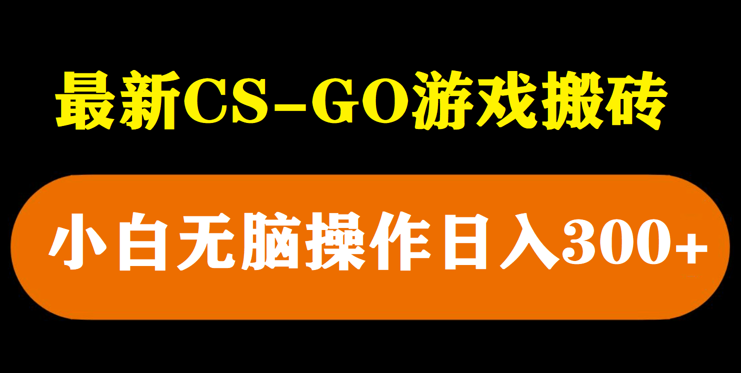 最新csgo游戏搬砖游戏，无需挂机小白无脑也能日入300+-天天有课网
