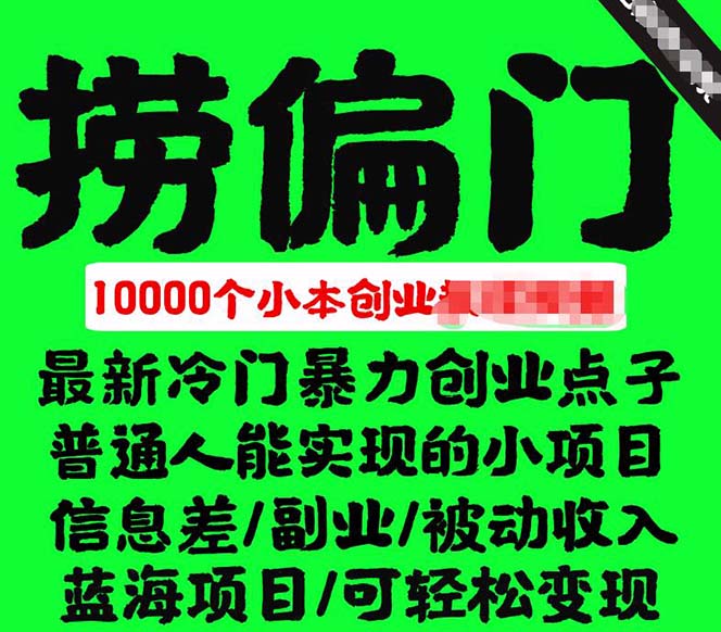 千款捞偏门小本创业小项目，总有一款适合你【无水印】-天天有课网