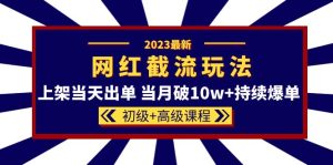 2023网红·同款截流玩法【初级+高级课程】上架当天出单 当月破10w+持续爆单-天天有课网