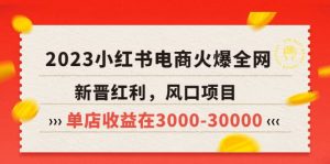 2023小红书电商火爆全网，新晋红利，风口项目，单店收益在3000-30000-天天有课网