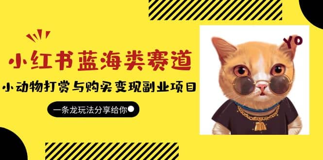 小红书蓝海类赛道：小动物打赏与购买变现副业项目，一条龙玩法分享给你-天天有课网