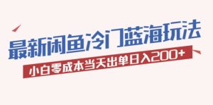 2023最新闲鱼冷门蓝海玩法,小白零成本当天出单日入200+-天天有课网