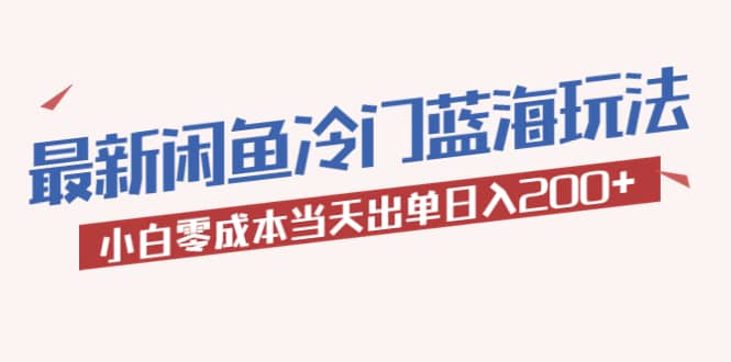 2023最新闲鱼冷门蓝海玩法，小白零成本当天出单日入200+-天天有课网