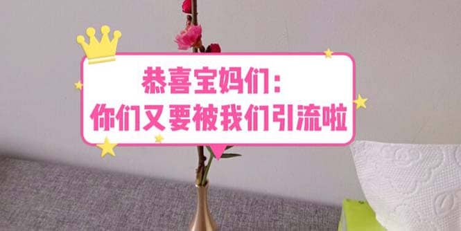 恭喜宝妈们：你们又要被我们引流了（教程+222g资料）-天天有课网