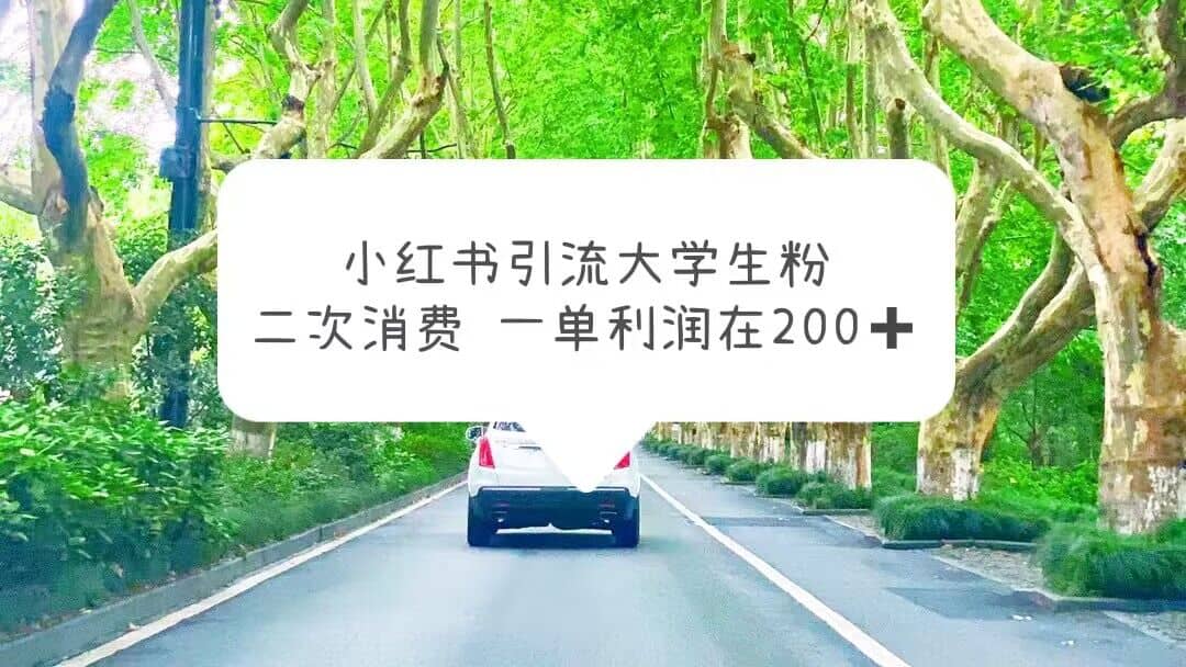 小红书引流大学生粉，变现项目，一单利润在200+（教程+资源）-天天有课网