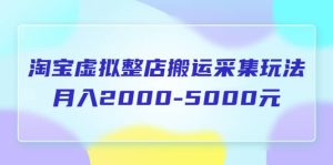 淘宝虚拟整店搬运采集玩法分享课：月入2000-5000元（5节课）-天天有课网