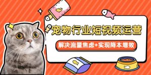 宠物/行业短视频运营 流量增长的一层窗户纸 解决流量焦虑+实现降本增效-天天有课网