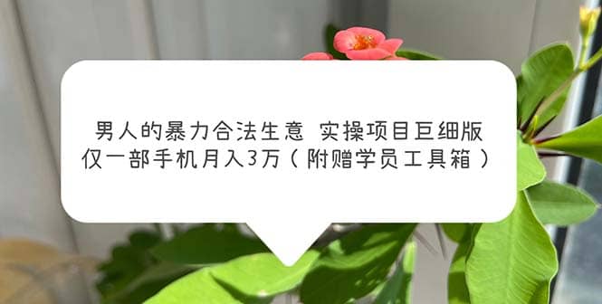 男人的暴力合法生意实操项目巨细版：仅一部手机月入3w（附赠学员工具箱）-天天有课网