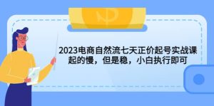 2023电商自然流七天正价起号实战课：起的慢，但是稳，小白执行即可-天天有课网