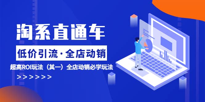 淘系直通车《低价·引流 全店·动销》超高ROI玩法（其一）全店动销必学玩法-天天有课网