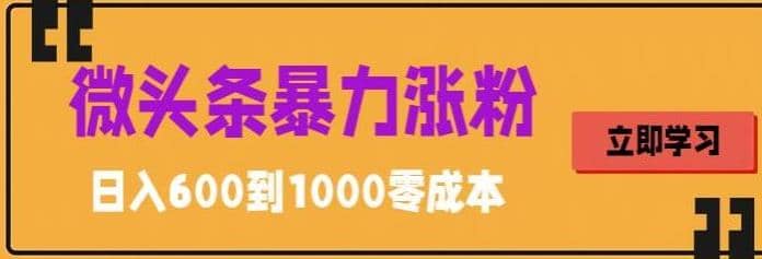 微头条暴力涨粉技巧搬运文案就能涨几万粉丝，简单0成本，日赚600-天天有课网