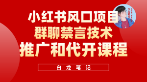 小红书风口项目日入300+，小红书群聊禁言技术代开项目，适合新手操作-天天有课网