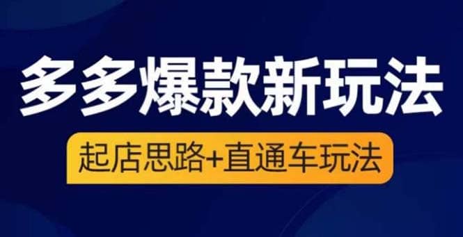 2023拼多多爆款·新玩法：起店思路+直通车玩法（3节精华课）-天天有课网