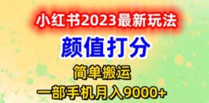 最新小红书颜值打分玩法,日入300+闭环玩法-天天有课网