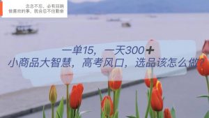 一单15，一天300+，小商品大智慧，高考风口，选品该怎么布局-天天有课网