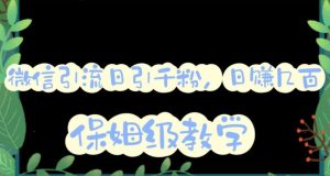 微信互推圈半自动引流方案，矩阵操作日引千人思路【详细视频教程】-天天有课网