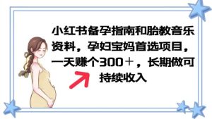 小红书备孕指南和胎教音乐资料 孕妇宝妈首选项目 一天赚个300+长期可做-天天有课网