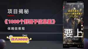 1000个野路子信息差保姆式教程-单日变现3000+的玩法解密-天天有课网