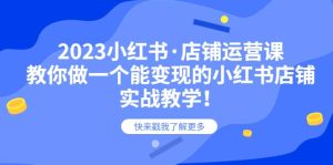 2023小红书·店铺运营课，教你做一个能变现的小红书店铺，20节-实战教学-天天有课网