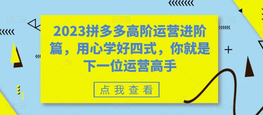 2023拼多多高阶运营进阶篇，用心学好四式，你就是下一位运营高手-天天有课网