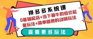 拼多多系统课：0基础起店+当下最牛的低价起量玩法+简单粗暴的动销玩法-天天有课网