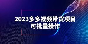 2023多多视频带货项目，可批量操作【保姆级教学】-天天有课网