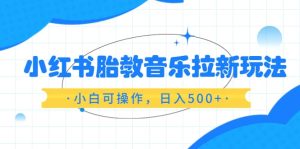 小红书胎教音乐拉新玩法，小白可操作，日入500+（资料已打包）-天天有课网