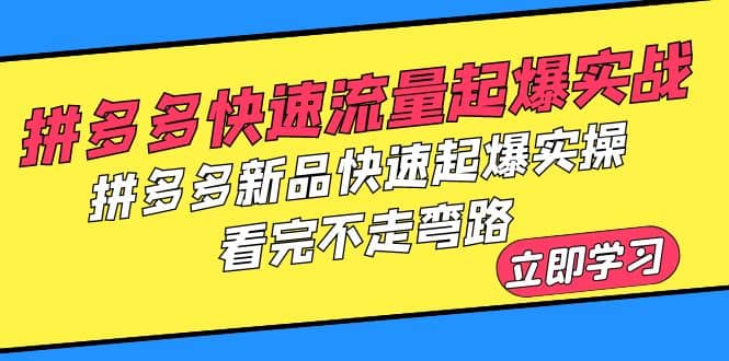 拼多多-快速流量起爆实战，拼多多新品快速起爆实操，看完不走弯路-天天有课网