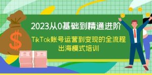 2023从0基础到精通进阶，TikTok账号运营到变现的全流程出海模式培训-天天有课网