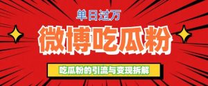 微博吃瓜粉引流玩法,轻松日引100粉变现500+-天天有课网