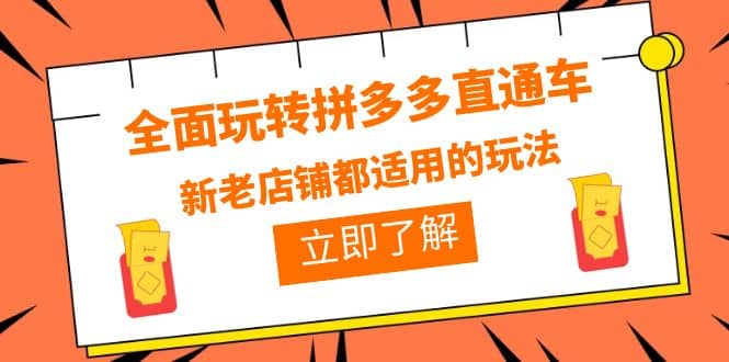 全面玩转拼多多直通车，新老店铺都适用的玩法（12节精华课）-天天有课网