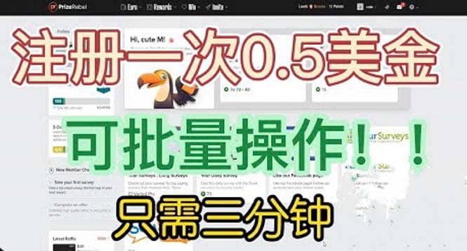 国外项目注册一次0.5美金 只需三分钟无脑操作 可批量放大 小白工作室福利-天天有课网