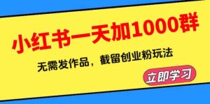 小红书一天加1000群,无需发作品,截留创业粉玩法 (附软件)-天天有课网