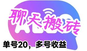 最新蓝海聊天平台手动搬砖,单号日入20,多号多撸,当天见效益-天天有课网