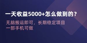 一天收益5000+怎么做到的?无脑搬运即可,长期稳定项目,一部手机可做-天天有课网