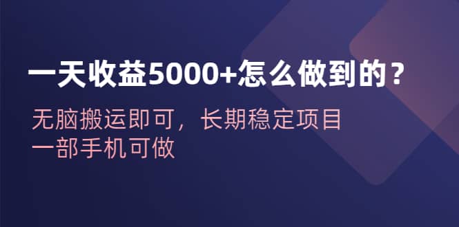 一天收益5000+怎么做到的？无脑搬运即可，长期稳定项目，一部手机可做-天天有课网