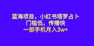 蓝海项目,小红书塔罗占卜,门槛低,传播快,一部手机月入3w+-天天有课网