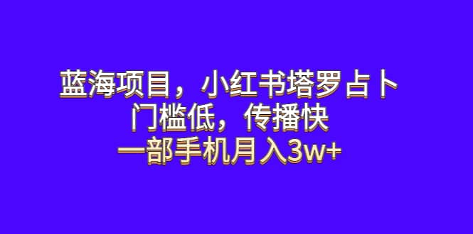 蓝海项目，小红书塔罗占卜，门槛低，传播快，一部手机月入3w+-天天有课网
