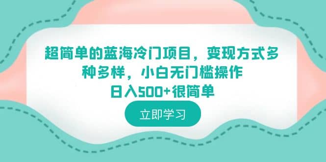超简单的蓝海冷门项目，变现方式多种多样，小白无门槛操作日入500+很简单-天天有课网