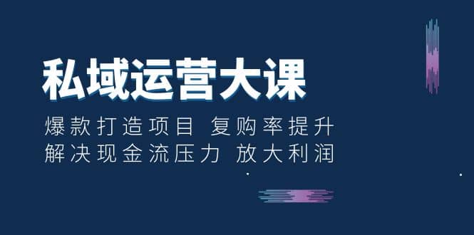 私域运营大课：爆款打造项目 复购率提升 解决现金流压力 放大利润-天天有课网
