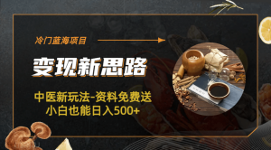 冷门蓝海项目-中医新玩法-冷门蓝海项目-中医新玩法-资料免费送小白也能日入500+500+-天天有课网