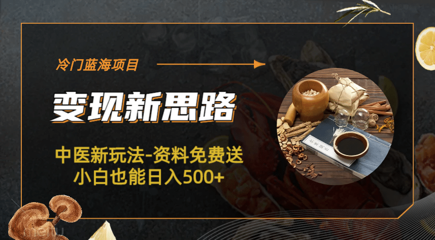 冷门蓝海项目-中医新玩法-冷门蓝海项目-中医新玩法-资料免费送小白也能日入500+500+-天天有课网