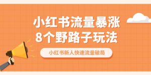 小红书流量-暴涨8个野路子玩法:小红书新人快速流量破局(8节课)-天天有课网